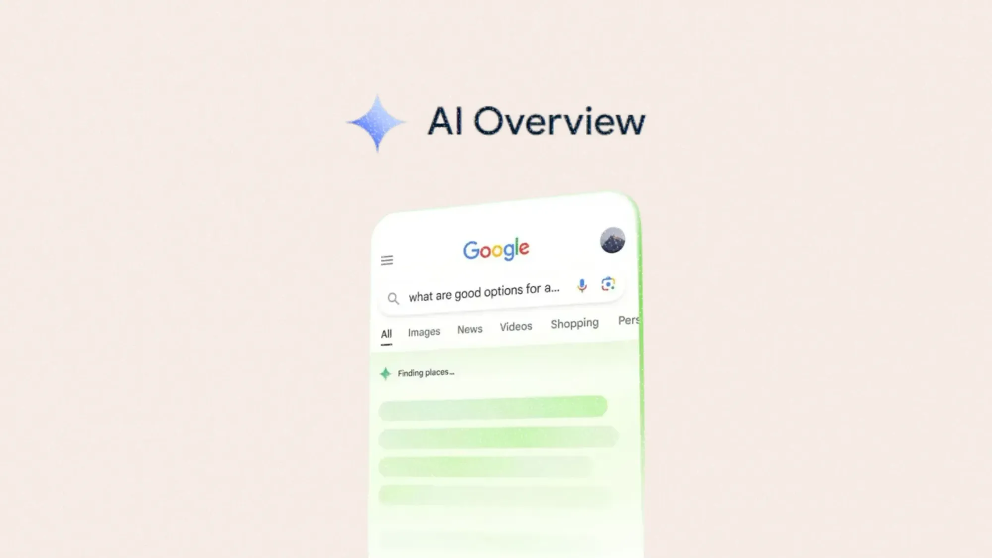 Example Google Search AI Overview